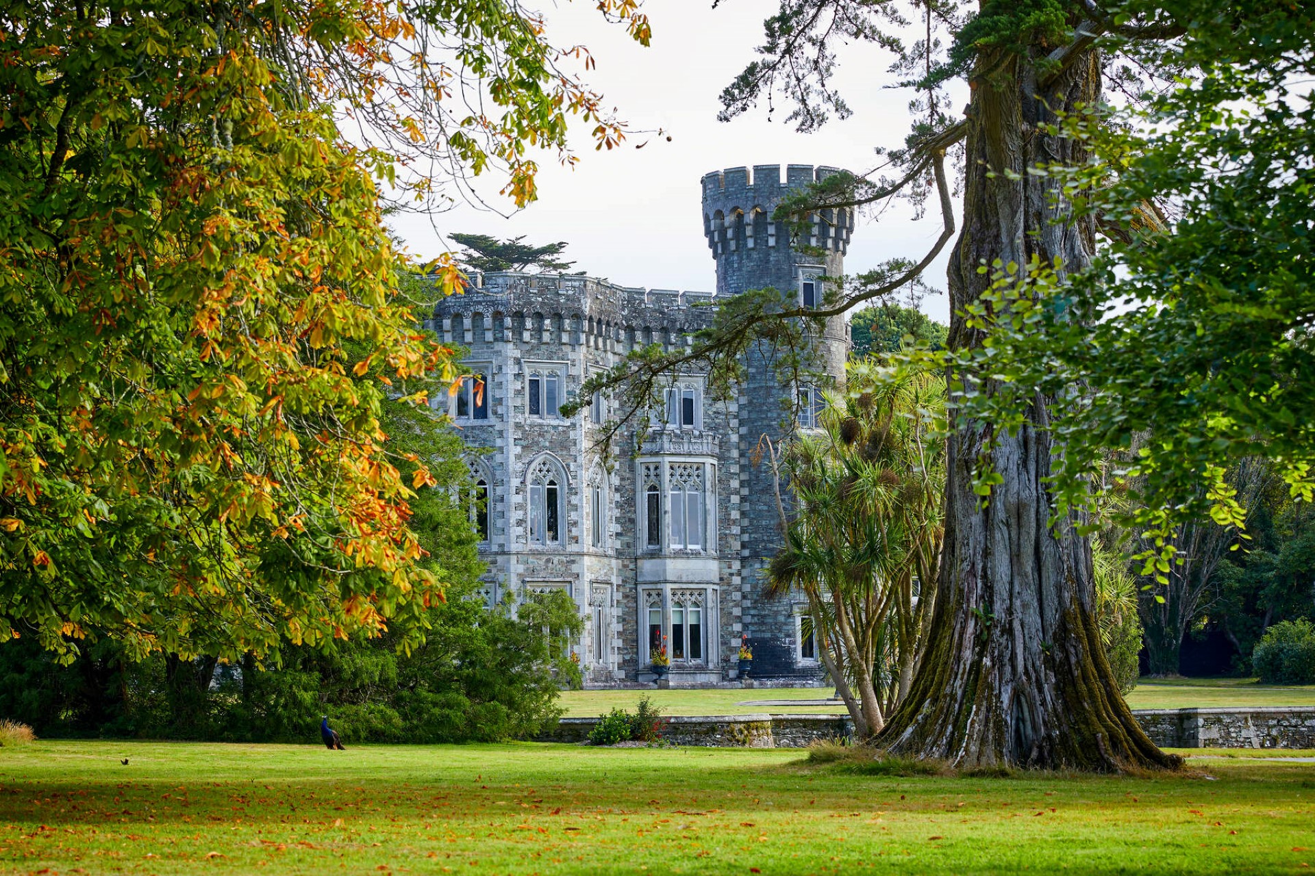Irland: Schlösser und Burgen – schaurig (und) schön